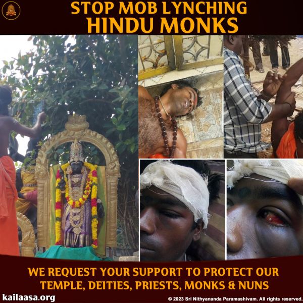 File:20230817 1007 366067085 FB.jpeg