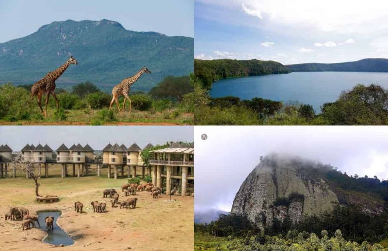 File:20230819 1000 368440103 FB.jpeg