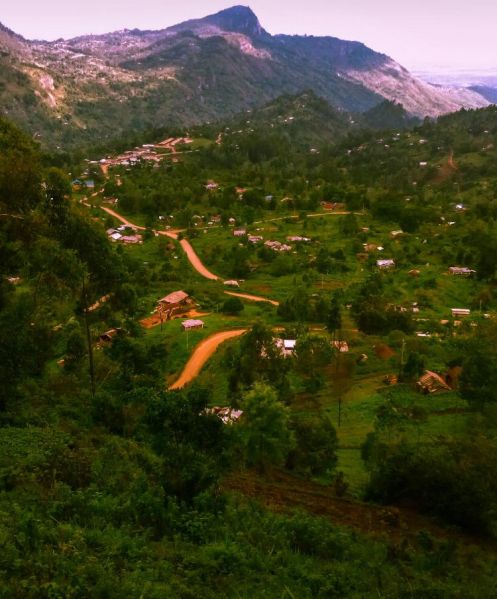 File:20230819 1002 368477583 FB.jpeg