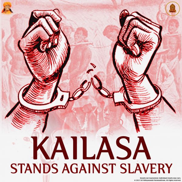 File:20230823 1004 369676820 FB.jpeg