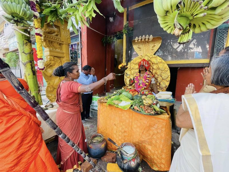 File:20240115 1037 419290333 FB.jpg