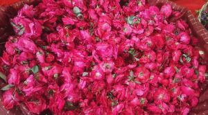 20240122 1026 420063019 FB.jpg