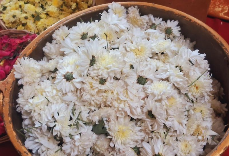 File:20240122 1027 420072303 FB.jpg