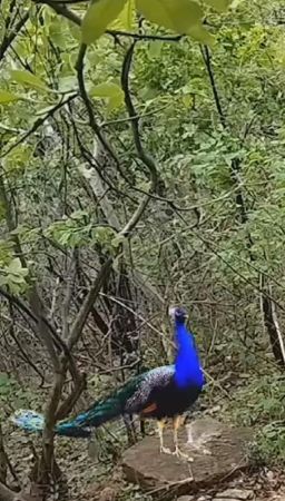 20240124 1058 421680923 FB.jpg