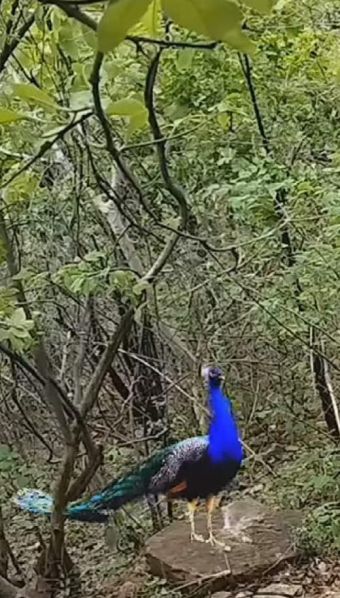 File:20240124 1058 421680923 FB.jpg