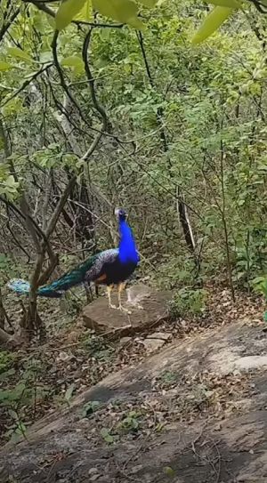 20240124 1059 422259849 FB.jpg