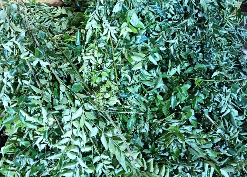 File:20240125 1037 421966307 FB.jpg