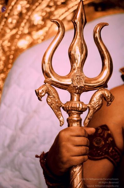 File:20240208 1033 426751706 FB.jpg