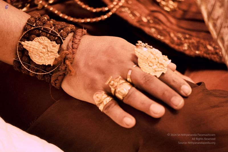 File:20240209 1017 422002556 FB.jpg