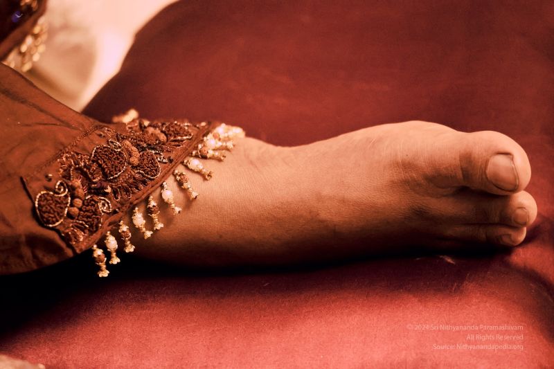 File:20240209 1018 421970382 FB.jpg