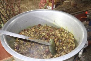 20240224 1034 425334654 FB.jpg