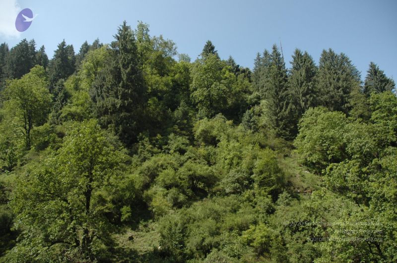 File:23rd 019 CMP WM.jpg
