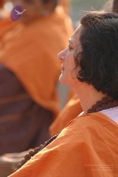 File:23rd 551 CMP WM.jpg