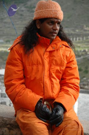 27 464 CMP WM.jpg