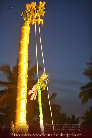 ADIKAILASA-2020-11-20-1 kB2ypShYhEDW3SZXrbMdDNNfdI-67 p.jpg