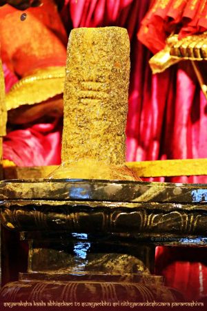 ADIKAILASA-2021-02-01-18nFDuxb6IdJi2MLzb3 5eXvIBU8 dBrU.jpg