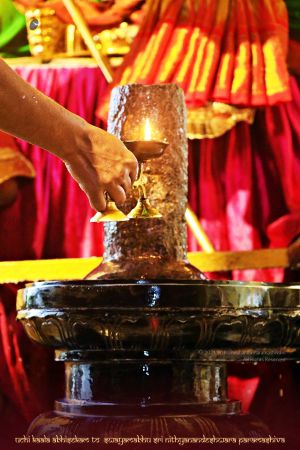 ADIKAILASA-2021-02-01-1H8V2cXQeRAGxNhOtO5cRM-e2j 4uama0.jpg