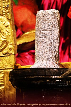 ADIKAILASA-2021-02-01-1VgmR9 0RV67Ihd5yofzokjXRuw-dzTDW.jpg