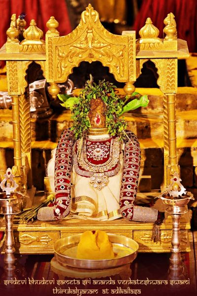 File:ADIKAILASA-2021-02-08-16UXJzQ4FC0hzKdnZZYweLCVsc08dVwI .jpg