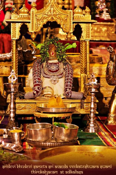 File:ADIKAILASA-2021-02-08-1hVc5u2oWl XkrNPKPWX3LHbVUQOrq gk.jpg