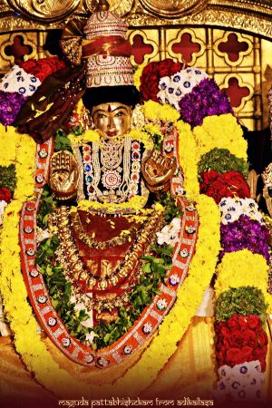 ADIKAILASA-2021-02-27-1B7Bgh0Z8kWA -4fbsGkutk7oGPGQCILQ.jpg