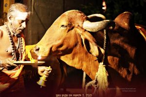 ADIKAILASA-2021-03-03-1whlAdIgJ LIAhNAAIhGYrrwe47-Qy7S9.jpg