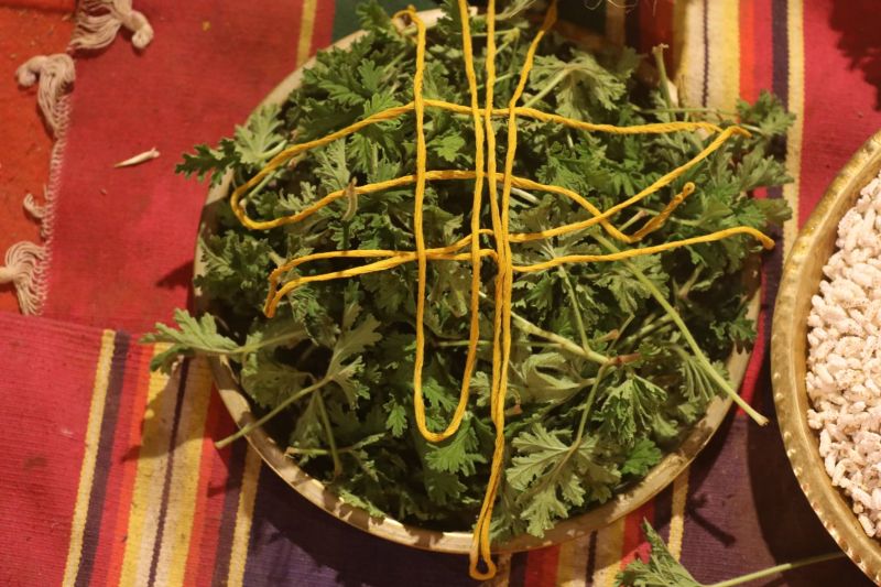 File:ADIKAILASA-2021-03-14-1eCNGca9WFLkirHgtfhvH2H G h3C0cal.jpg