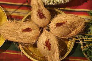 ADIKAILASA-2021-03-14-1luFJ95 PwC86NCNYmuZgK T21-OnPuIg.jpg