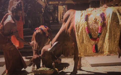 ADIKAILASA-2021-08-21-1eM2SlT2MKz 5R2erbp5aNurGYWA9bFWM.jpg