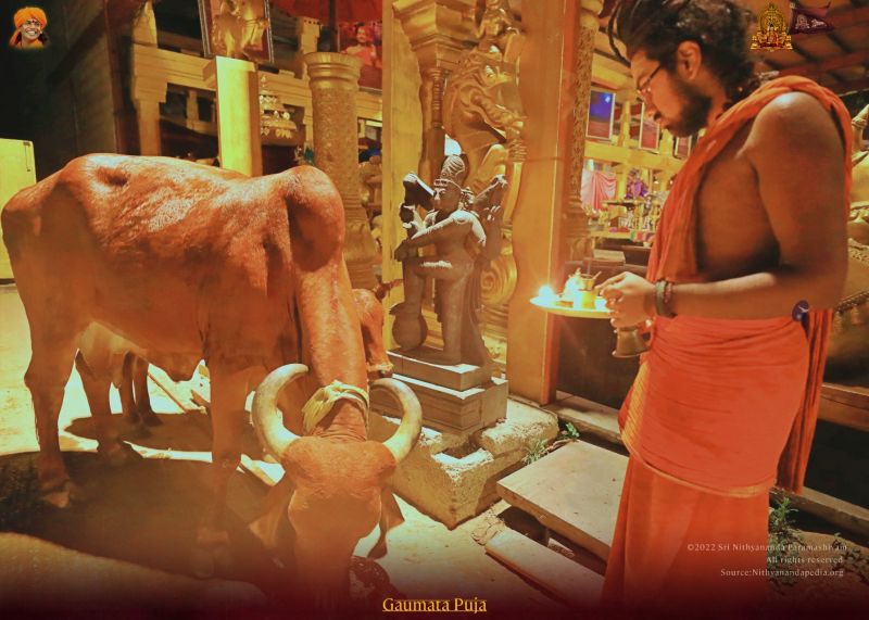 File:ADIKAILASA-2022-02-12-1abdgxnMy3TdJxMh3Od1z5LoASxowXGue.jpg