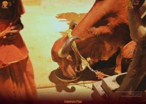 ADIKAILASA-2022-02-12-1ppFcHnk3yJDHc-eFvqjWYTEYyGgzJ706.jpg
