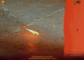 Thumbnail for version as of 13:33, 1 March 2022