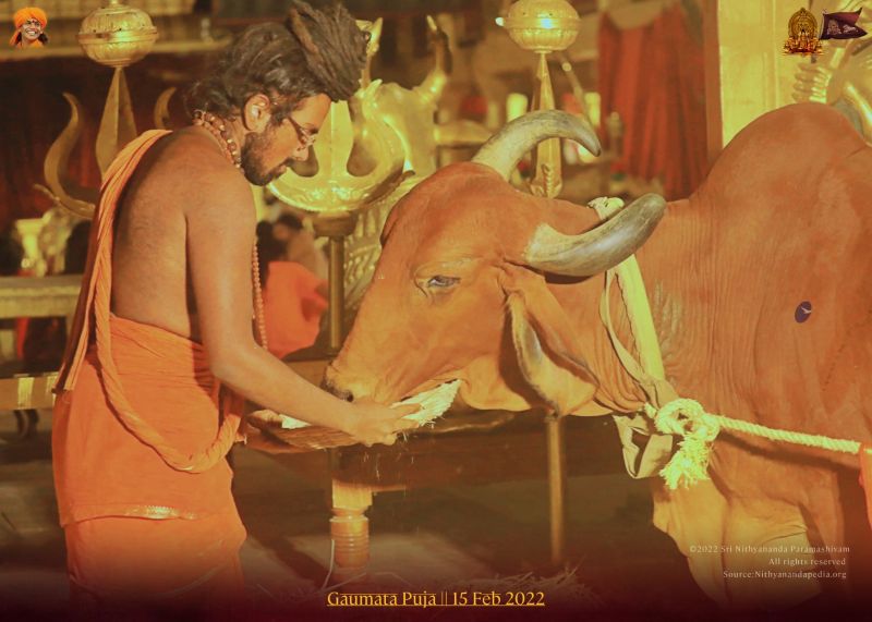 File:ADIKAILASA-2022-02-15-1WcqqB7YGsfDhy4J05Vwu-off1cxvY4l1.jpg