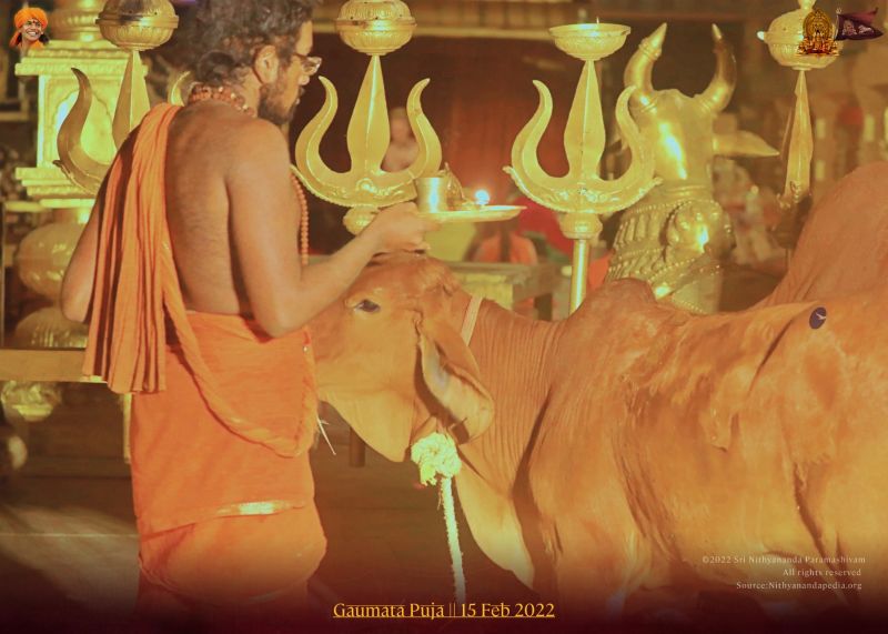 File:ADIKAILASA-2022-02-15-1fcBHWj IHhQ TQmeMvqnAYL4twLHtd3K.jpg