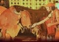 Thumbnail for version as of 14:13, 1 March 2022