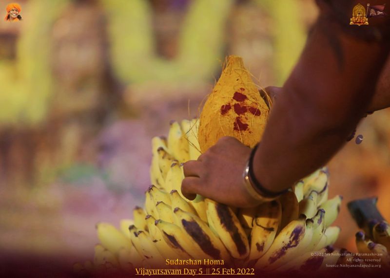 File:ADIKAILASA-2022-02-25-1s1H8CWYfgUiaOp8RFsLxFanNIx7mmQ3h.jpg