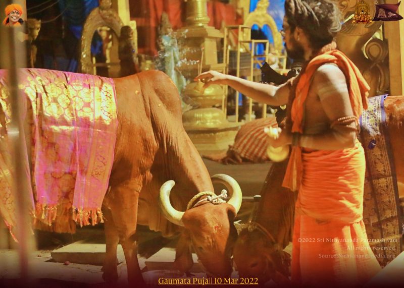 File:ADIKAILASA-2022-03-10-1wcANTanJUD5d366p fVDBWD9UwRI2izK.jpg