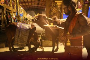 ADIKAILASA-2022-03-11-1Kc4CtkCsndvvZ7k MBI-dszY6GyqN7Zt.jpg