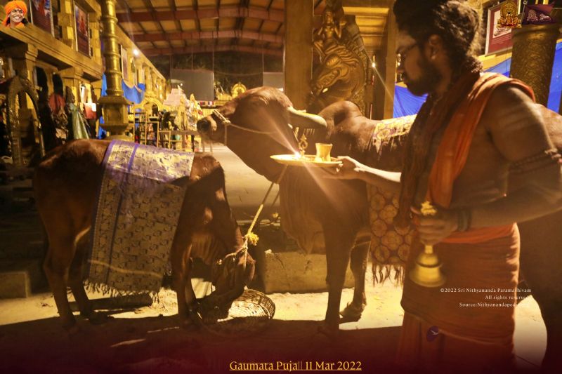 File:ADIKAILASA-2022-03-11-1Kc4CtkCsndvvZ7k MBI-dszY6GyqN7Zt.jpg