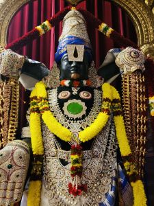 APATH-SANYASI---MALE-2021-09-11-1C-433i2j-ydj4jcypUrpU qAGE9vTVja.jpg