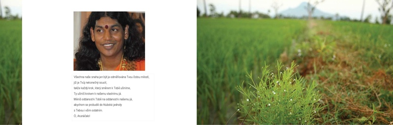 File:Arunacala darce Nithyanandy CZ final2.pdf