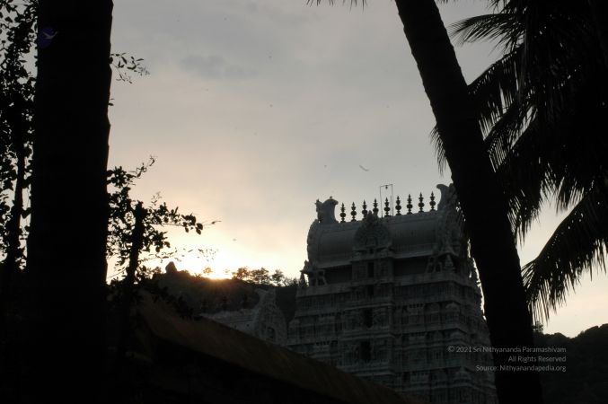 ArunachaleshwaraTemple KrittikaMandapam 11Nov2006 Area 3 watermarked.jpg