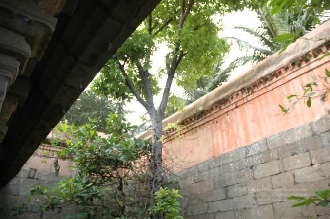 ArunachaleshwaraTemple KrittikaMandapam 11Nov2006 NagalingaTree 3 watermarked.jpg