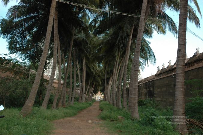 ArunachaleshwaraTemple KrittikaMandapam 11Nov2006 Pathway 7 watermarked.jpg