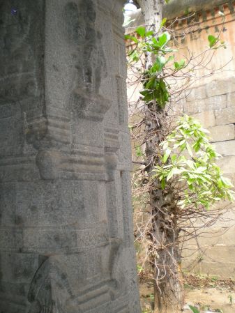 ArunachaleshwaraTemple KrittikaMandapam 2007-08 Pillars 1 watermarked.jpg