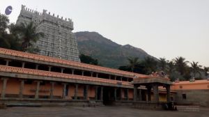 ArunagiriYogishwarSpace 6.jpg