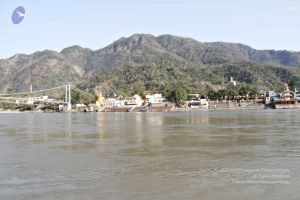 Batch20140318 7289 CMP WM.jpg