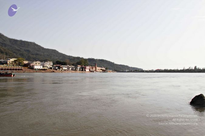 Batch20140318 7291 CMP WM.jpg