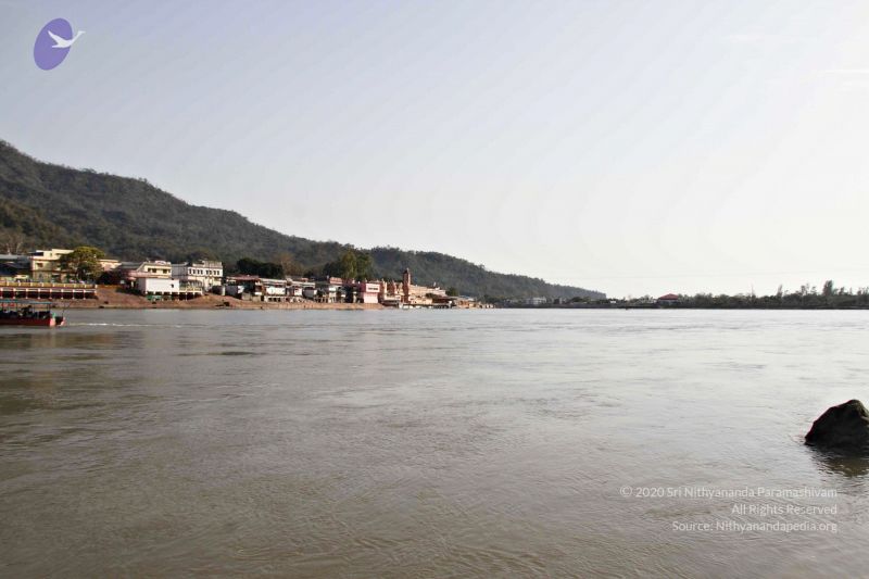 File:Batch20140318 7291 CMP WM.jpg