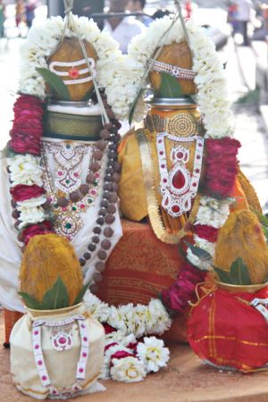 Batch20140318 7338 CMP.jpg